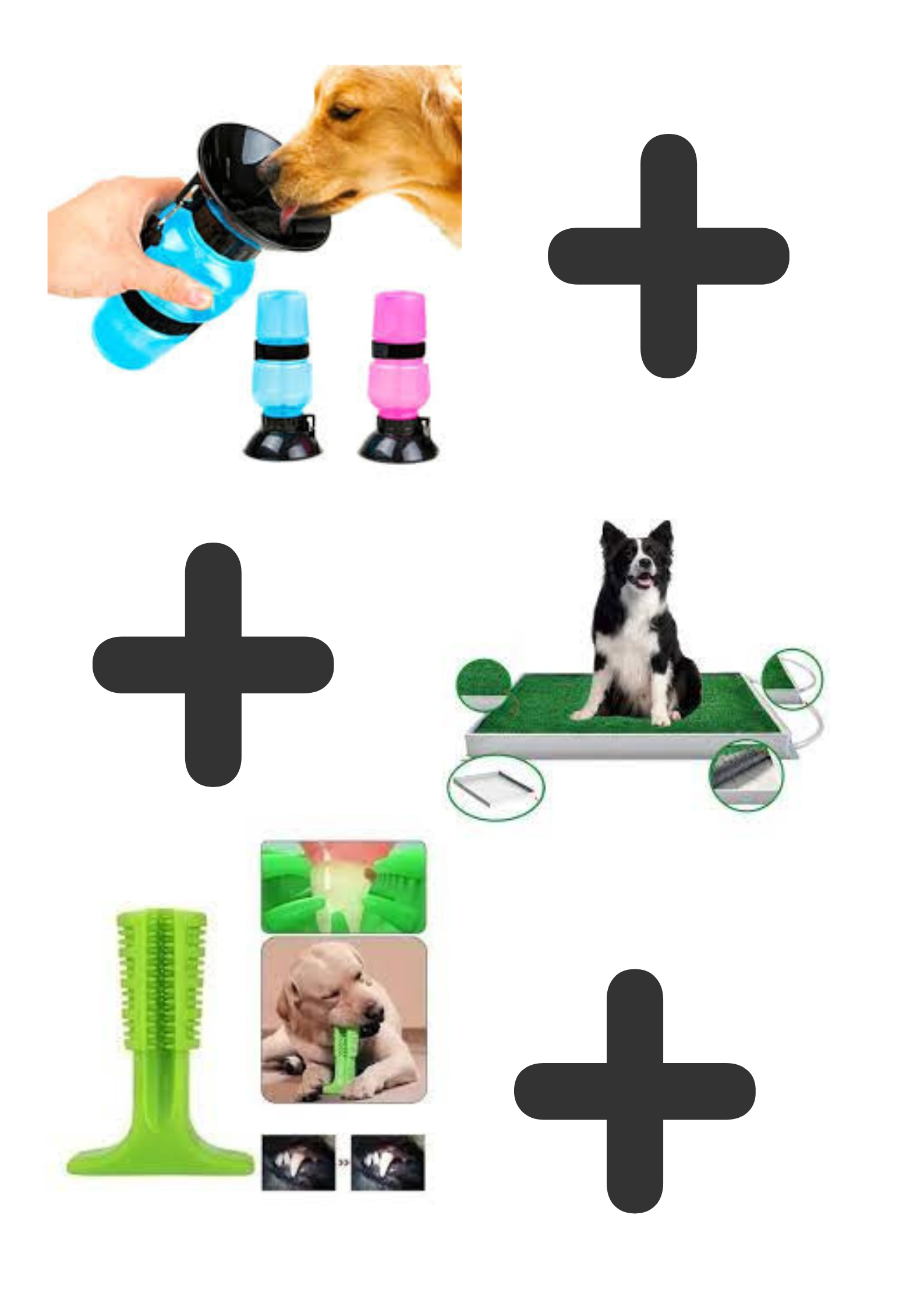 Tapete grande+Juguete grande+Bebedero